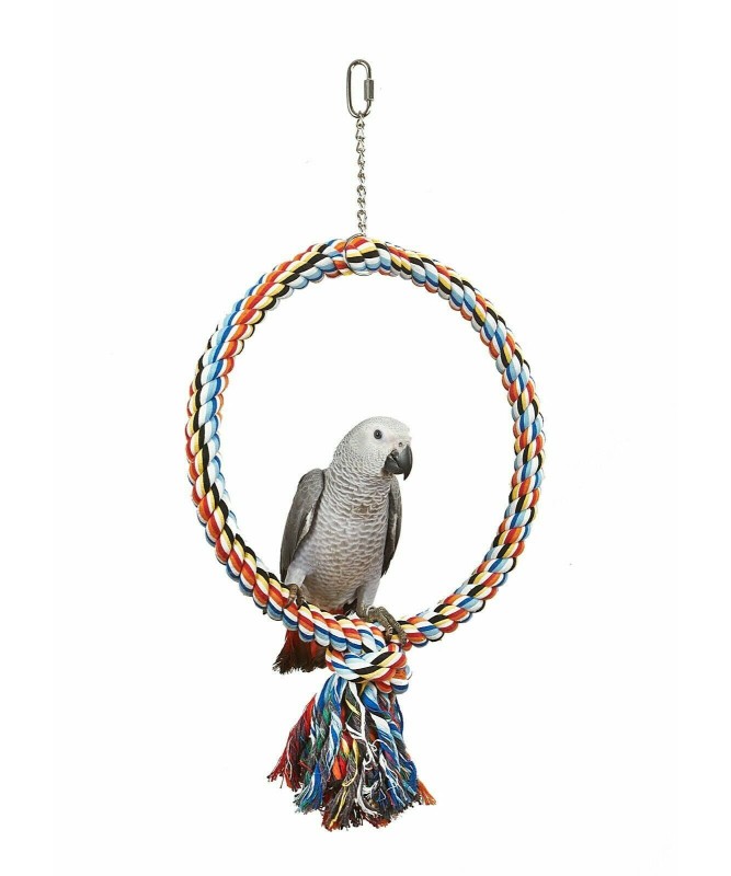 Large parrot swings hotsell